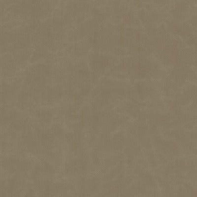 Stout Fabrics , Cervantes Cervantes, Grey color, Faux Leather style type , pattern number  CERV-9