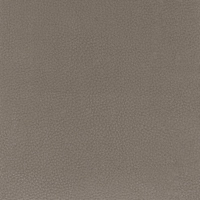 Stout Fabrics , Classic Classic, Brown color, Faux Leather style type , pattern number  CLAS-4