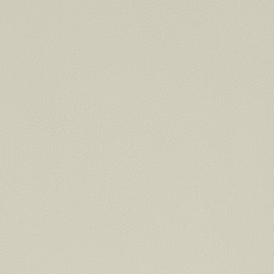 Stout Fabrics , Classic Classic, Beige color, Faux Leather style type , pattern number  CLAS-5