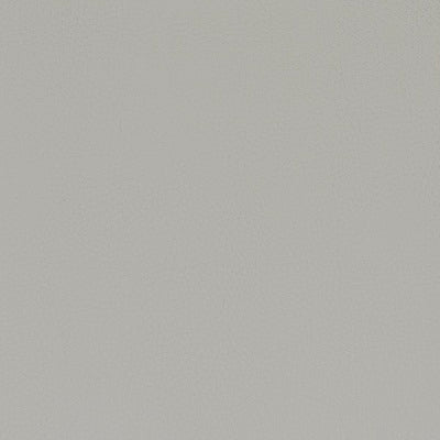 Stout Fabrics , Classic Classic, Grey color, Faux Leather style type , pattern number  CLAS-6