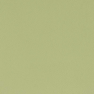 Stout Fabrics , Classic Classic, Green color, Faux Leather style type , pattern number  CLAS-8
