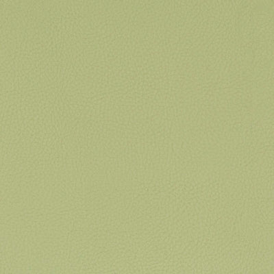 STOUT FABRICS  -CLASSIC -CLAS-8