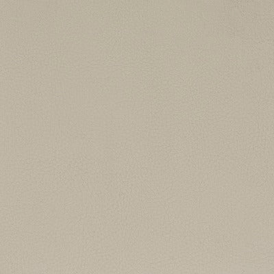 Stout Fabrics , Classic Classic, Beige color, Faux Leather style type , pattern number  CLAS-9