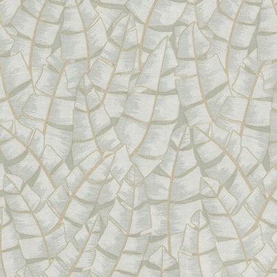 STOUT FABRICS  -CURATOR -CURA-1
