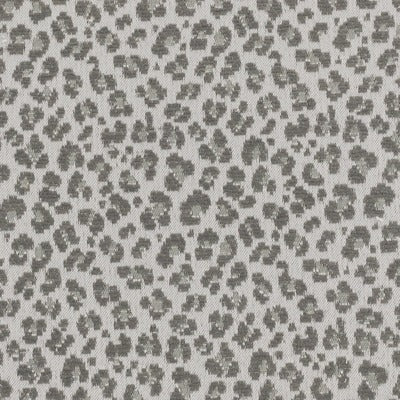 Stout Fabrics , Dauphine Dauphine, Grey color, Upholstery Jacquard style type , pattern number  DAUP-1