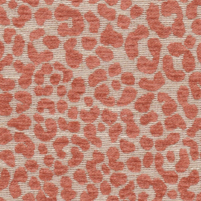 STOUT FABRICS  -DENISON -DENI-1