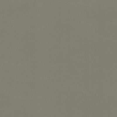 Stout Fabrics , Dewdrop Dewdrop, Grey color, Faux Leather style type , pattern number  DEWD-1