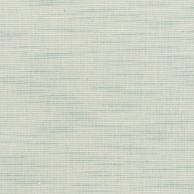 Stout Fabrics , Disbelieve Disbelieve, Spa color, Multipurpose Texture style type , pattern number  DISB-1