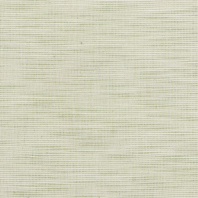 Stout Fabrics , Disbelieve Disbelieve, Green color, Multipurpose Texture style type , pattern number  DISB-3