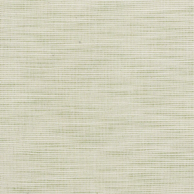 STOUT FABRICS  -DISBELIEVE -DISB-3