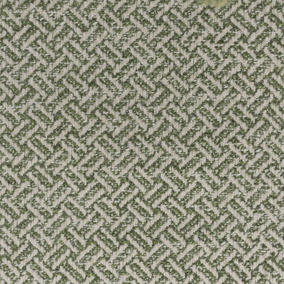 STOUT FABRICS  -DIVERSION -DIVE-1