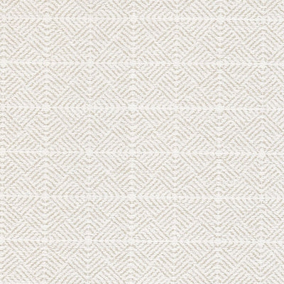 STOUT FABRICS  -DUKE -DUKE-2