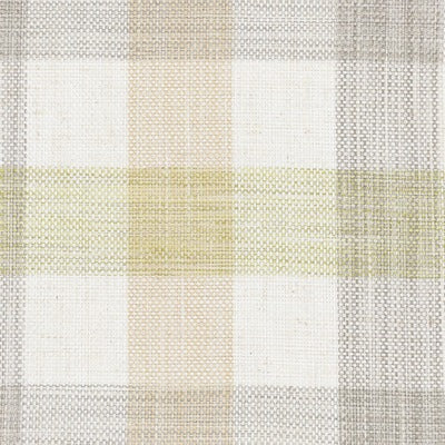 Stout Fabrics , Elgin Elgin, Green color, Multipurpose Wovens style type , pattern number  ELGI-4