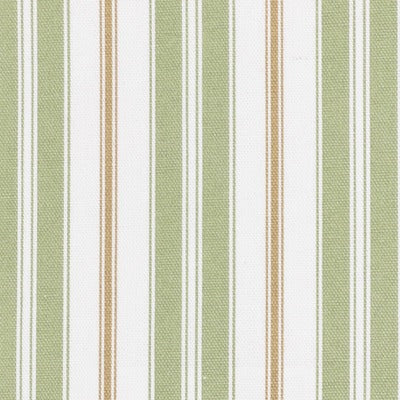 Stout Fabrics , Emerson Emerson, Green color, Multipurpose Print style type , pattern number  EMER-1