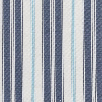 Stout Fabrics , Emerson Emerson, Blue color, Multipurpose Print style type , pattern number  EMER-3