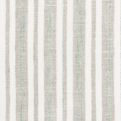 STOUT FABRICS  -ENCORE -ENCO-1