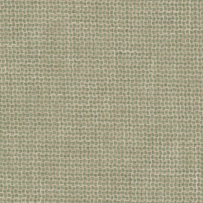 Stout Fabrics , Eureka Eureka, Green color, Multipurpose Wovens style type , pattern number  EURE-3