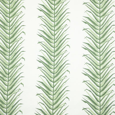 STOUT FABRICS  -EXPLORER -EXPL-2