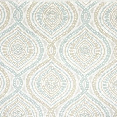 Stout Fabrics , Exton Exton, Spa color, Multipurpose Print style type , pattern number  EXTO-1