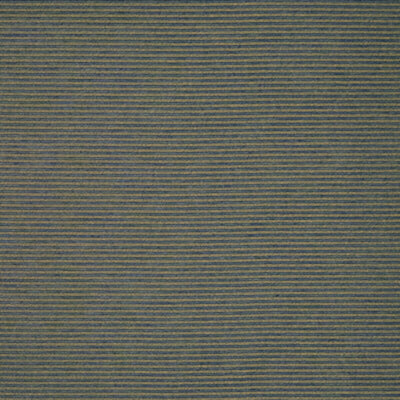CLARKE & CLARKE FABRICS-F1283/06.CAC.0