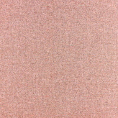 CLARKE & CLARKE FABRICS-F1416/10.CAC.0