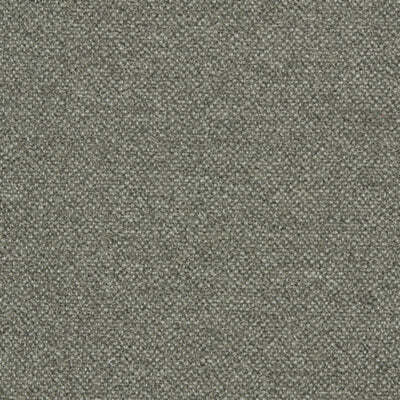 CLARKE & CLARKE FABRICS-F1421/01.CAC.0
