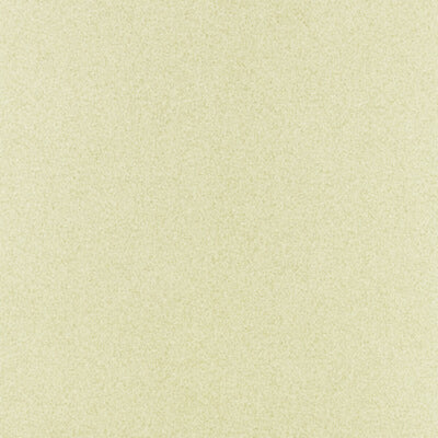 CLARKE & CLARKE FABRICS-F1424/05.CAC.0