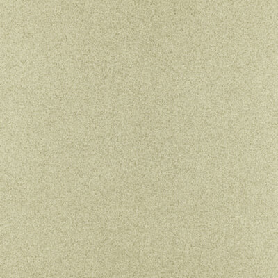 CLARKE & CLARKE FABRICS-F1424/06.CAC.0