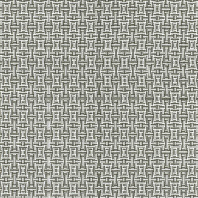 CLARKE & CLARKE FABRICS-F1438/01.CAC.0