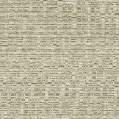 CLARKE & CLARKE FABRICS-F1450/03.CAC.0