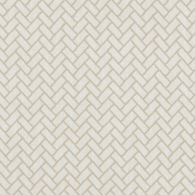 CLARKE & CLARKE FABRICS-F1455/02.CAC.0