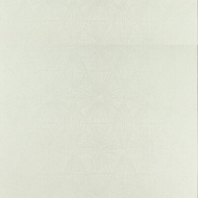 CLARKE & CLARKE FABRICS-F1456/05.CAC.0