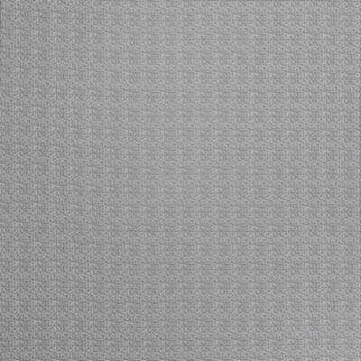 CLARKE & CLARKE FABRICS-F1460/03.CAC.0
