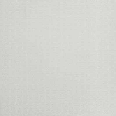 CLARKE & CLARKE FABRICS-F1460/06.CAC.0