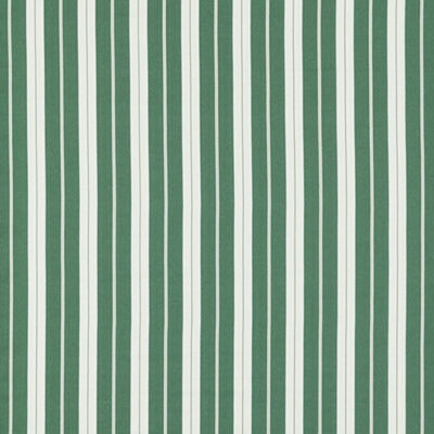 CLARKE & CLARKE FABRICS-F1497/05.CAC.0