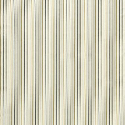CLARKE & CLARKE FABRICS-F1501/03.CAC.0
