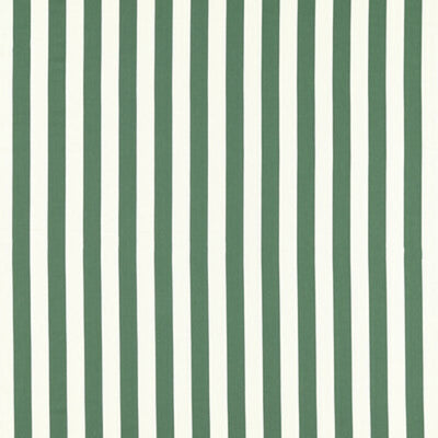 CLARKE & CLARKE FABRICS-F1503/05.CAC.0