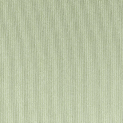 CLARKE & CLARKE FABRICS-F1504/05.CAC.0