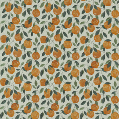 CLARKE & CLARKE FABRICS-F1508/02.CAC.0