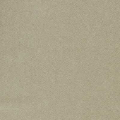 CLARKE & CLARKE FABRICS-F1511/23.CAC.0