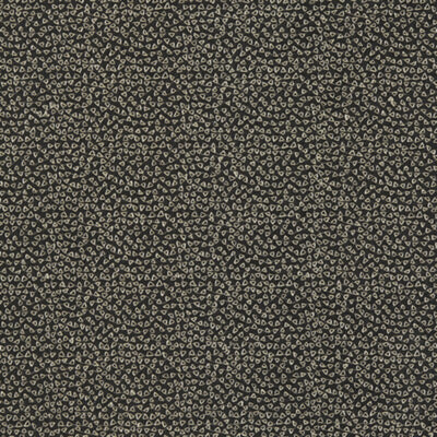 CLARKE & CLARKE FABRICS-F1548/03.CAC.0