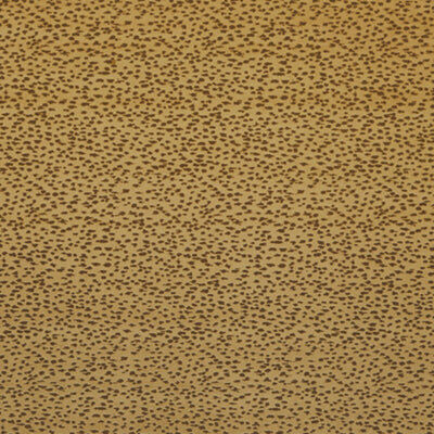 CLARKE & CLARKE FABRICS-F1564/02.CAC.0