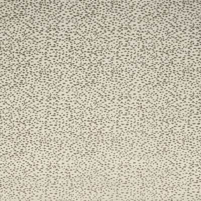 CLARKE & CLARKE FABRICS-F1564/07.CAC.0