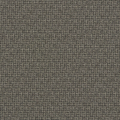 CLARKE & CLARKE FABRICS-F1569/01.CAC.0