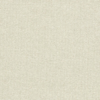 CLARKE & CLARKE FABRICS-F1570/05.CAC.0