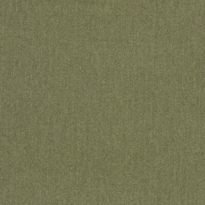 CLARKE & CLARKE FABRICS-F1570/07.CAC.0