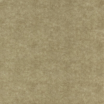 CLARKE & CLARKE FABRICS-F1598/06.CAC.0