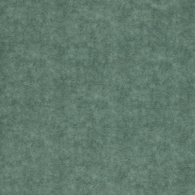 CLARKE & CLARKE FABRICS-F1598/11.CAC.0