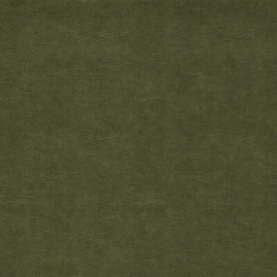 CLARKE & CLARKE FABRICS-F1598/12.CAC.0