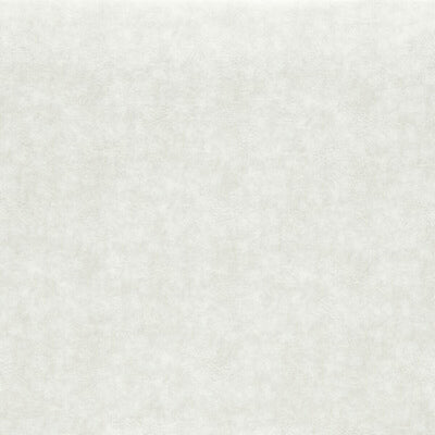 CLARKE & CLARKE FABRICS-F1598/13.CAC.0